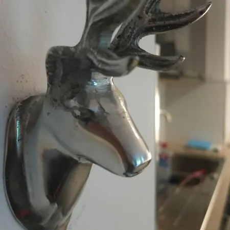 Haus Pachole 아파트 *