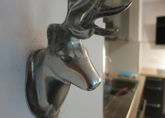 Haus Pachole 아파트 *